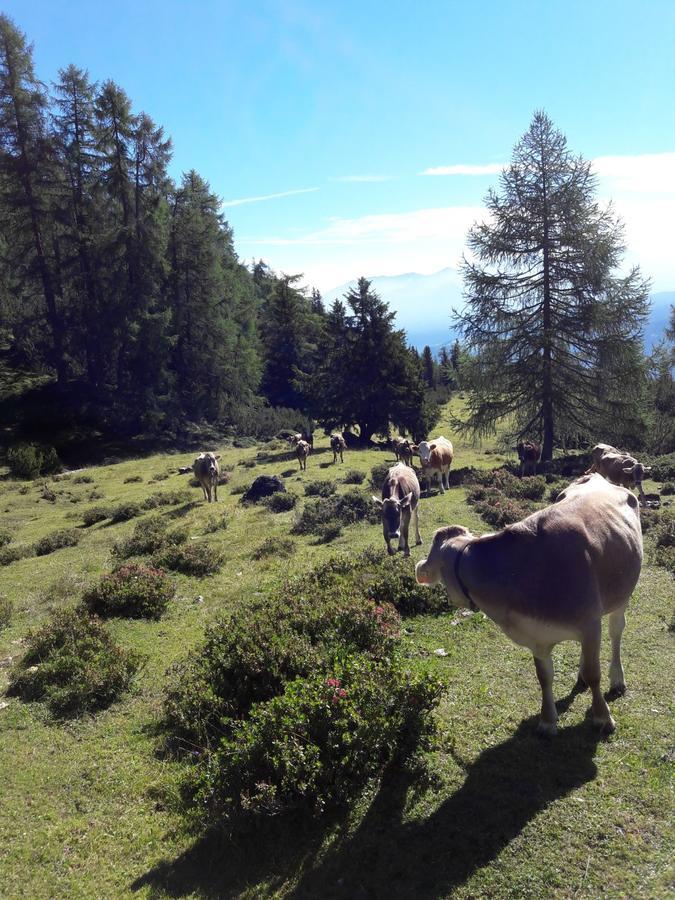 Schlickeralm 1.616 M Inn Fulpmes